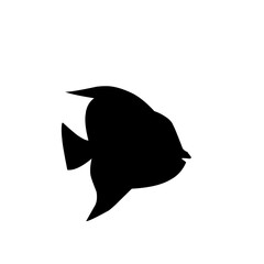 fish silhouette