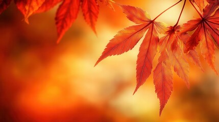 Close-up of red autumn leaves against a blurred orange background, capturing the essence of fall and nature's vibrant colors.