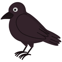Black crow cartoon illustration 