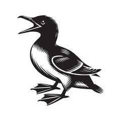 Fototapeta premium Dovekie Bird Clipart - Little Auk Bird Vector Illustration in black and white 