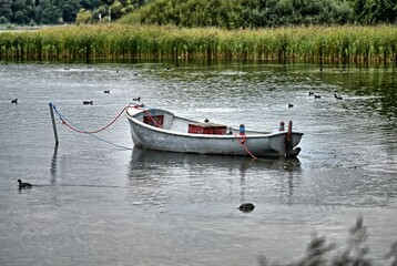 Boat in a pond