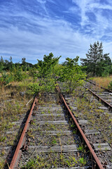 railway in the forest