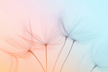 Minimalist Dandelion Seeds with Soft Pastel Background, Delicate Nature Abstract