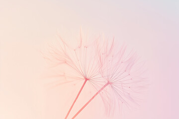 Minimalist Dandelion Seeds with Soft Pastel Background, Delicate Nature Abstract