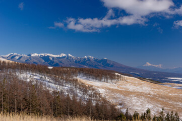 厳冬期の霧ヶ峰から望む雪の八ヶ岳連峰と富士山
