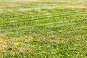 trimmed green lawn with sun-bleached grass