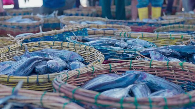 Fish stacked in baskets at the market