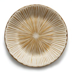A close-up view of a beautiful ivory and gold mushroom cap