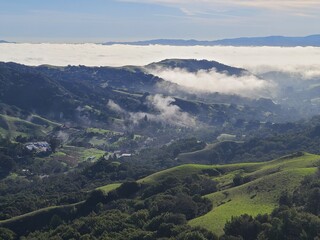 Naklejka premium Morning Tule Fog in the San Ramon valley, California