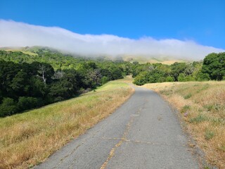 Road leads up to the morning fog and clouds typical of spring in the East Bay hills