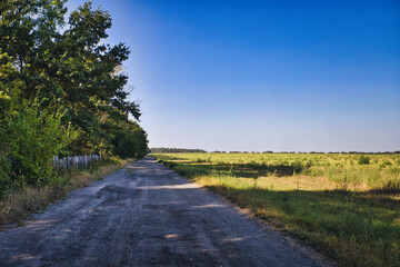 Weg - Glienick - Zossen - Deutschland - Brandenburg 