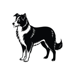 Silhouette of loyal companion Australian shepherd dog vector clipart design