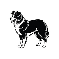 Silhouette of quiet Australian shepherd dog vector clipart design