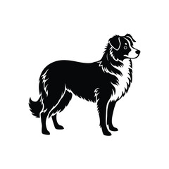 Silhouette of shy Australian shepherd dog vector clipart design