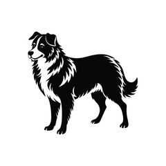 Fototapeta premium Silhouette of fearless Australian shepherd dog vector clipart design