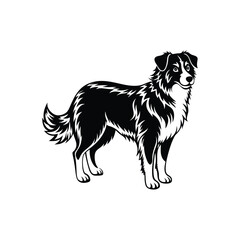 Fototapeta premium Silhouette of relaxed Australian shepherd dog vector clipart design