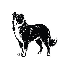 Silhouette of working Australian shepherd dog vector clipart design