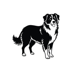 Silhouette of focused herding Australian shepherd dog vector clipart design
