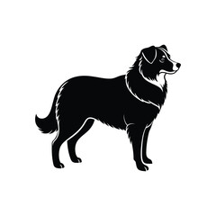 Silhouette of crouching Australian shepherd dog vector clipart design