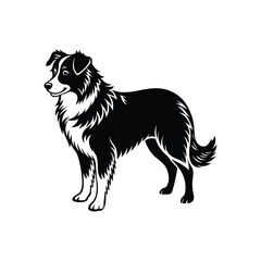 Silhouette of athletic Australian shepherd dog vector clipart design