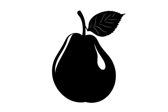 recommend clip art: vector silhouette of a Asian Pear
