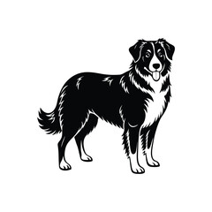 Silhouette of graceful Australian shepherd dog vector clipart design