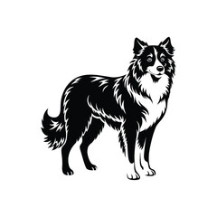 Silhouette of attentive Australian shepherd dog vector clipart design