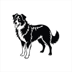 Silhouette of fluffy Australian shepherd dog vector clipart design