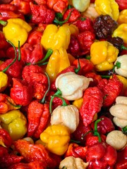 hot chilli peppers mix
