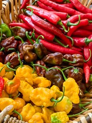 hot chilli peppers mix
