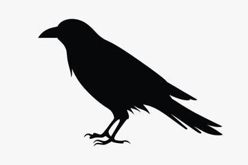 Obraz premium rawpixeloffice15_crow_silhouette_clip_art_isolated_on_white_bac_71ce143a-7a09-4014-a63f-62bb413651be-p
