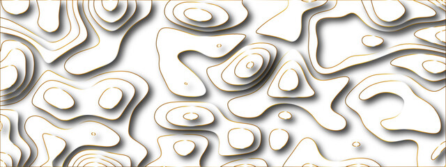 Abstract topographic lines. Topography contour map. Elegant minimalist geometric design. Vector illustration. Pattern modern art. Creative texture background. Luxury decor. Poster web wallpaper.