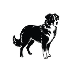 Silhouette of playful Australian shepherd dog vector clipart design