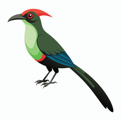buff tailed sicklebill bird vector