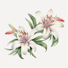 Naklejka premium Adobe Illustrator Artwork