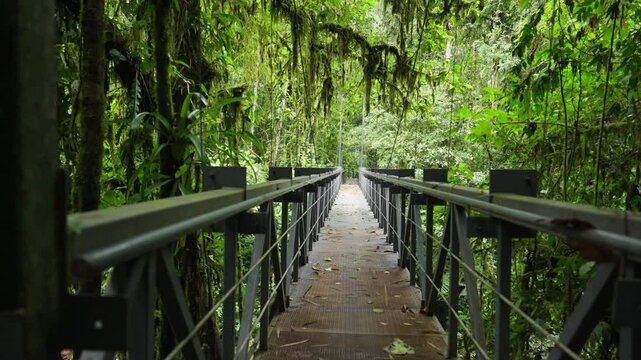 Puente colgante de metal que est&aacute; por encima de un rio rodeado de mucha vegetaci&oacute;n y ramas con musgos