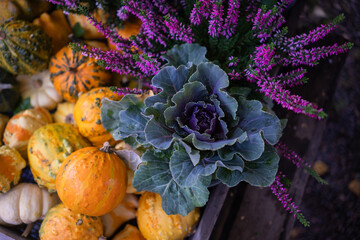 Autumn still life with colorful pumpkins and purple heather flowers