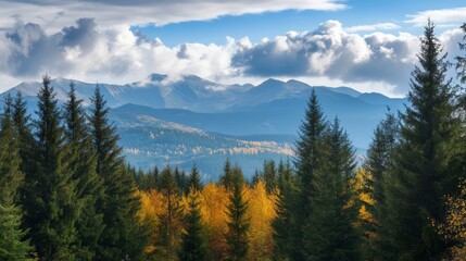 Obraz premium View to the Carpathians from the forest, with solitary trees and clouds overhead