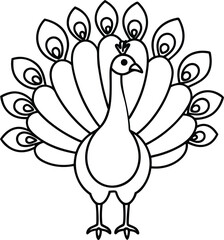 Stunning Peacock Display Vector Art
