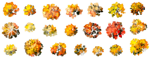 Vertor set of autumn tree,plants top view for landscape plan,schematic layout,eco environment concept design,watercolor ginkgo tree illustration,colorfulseason