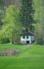 old little white house in the woods