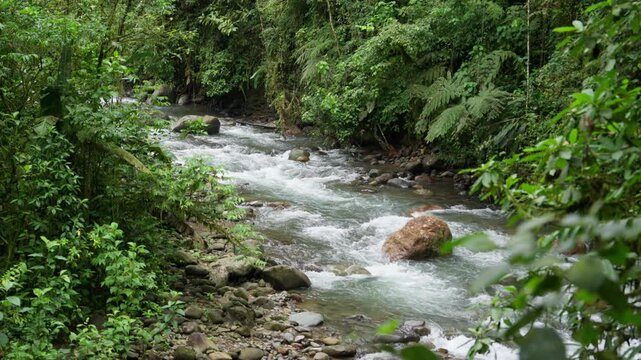 Corriente de r&iacute;o bajando por la monta&ntilde;a rodeado de mucha vegetaci&oacute;n y rocas en el bosque tropical