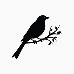 Silhouette bird perched branch