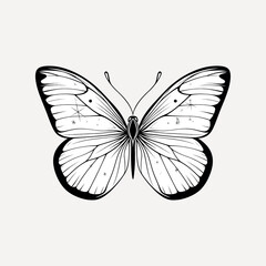 Elegant butterfly line art