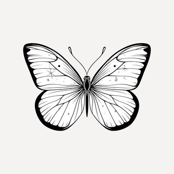 recommend clip art: Elegant butterfly line art