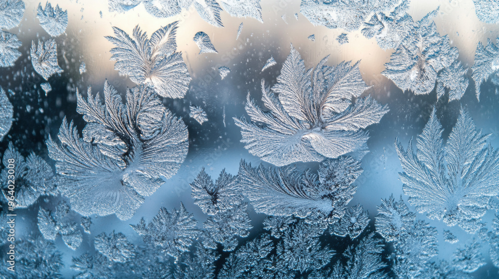 Poster frost patterns create stunning display on window, showcasing intricate designs formed by icy rain. d