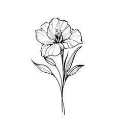 Obraz premium Stylized black and white illustration of a flower with delicate petals and leaves, perfect for botanical designs and art.
