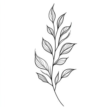 recommend clip art: Elegant black line drawing of a leaf branch with detailed leaves, perfect for botanical art and nature-themed projects.