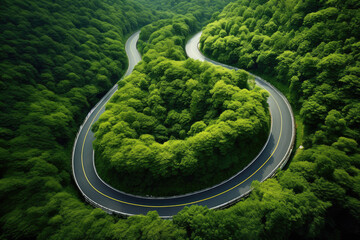 Fototapeta premium Serpentine Road Encircled by Vibrant Greenery