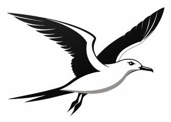 Seagull silhouette vector illustration